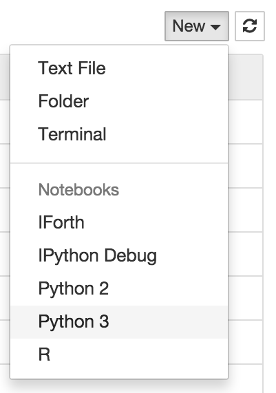 Jupyter “New” menu