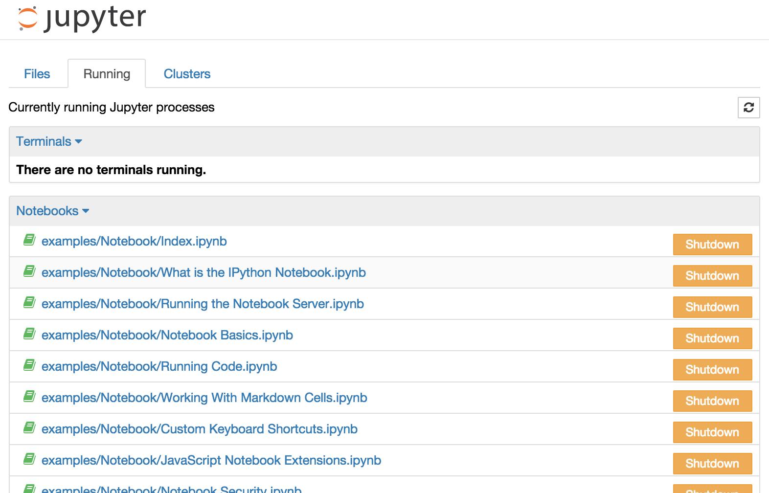 Jupyter dashboard running tab